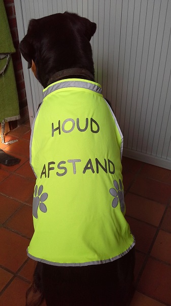 Gele Hond Signaleringsvest - maat M